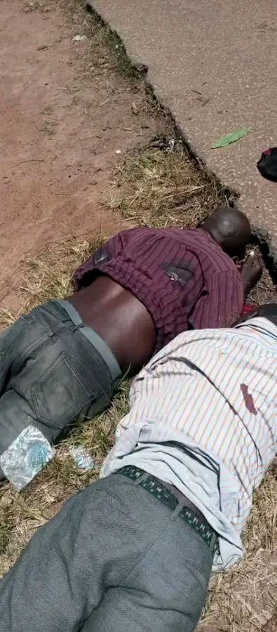 Gunmen k!ll two in Benue community