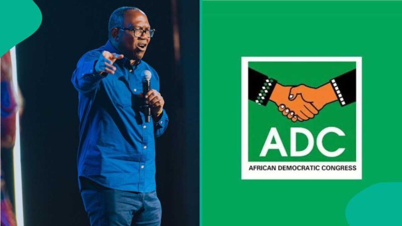 Peter Obi’s Ally Gives 1 Condition to ADC After Coalition Directive