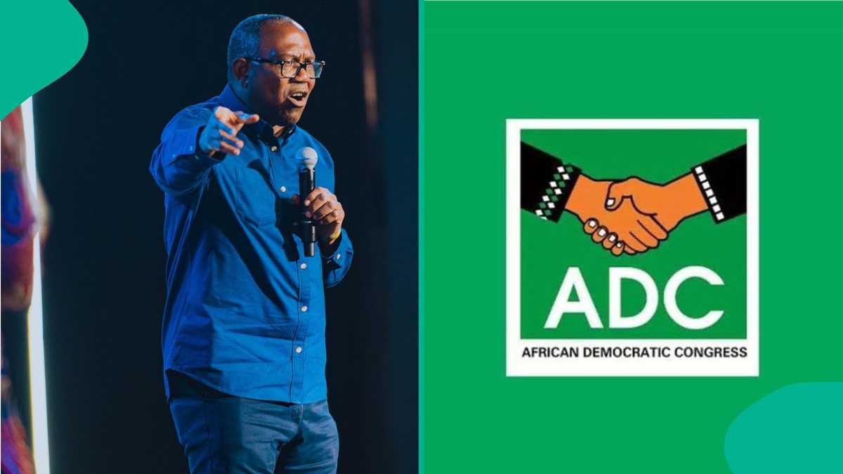 Peter Obi’s Ally Gives 1 Condition to ADC After Coalition Directive