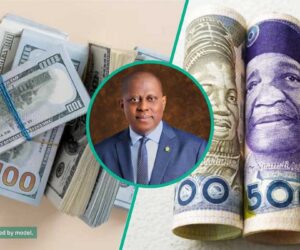 Why the Nigerian Naira is Gaining Against the US Dollar in 2025