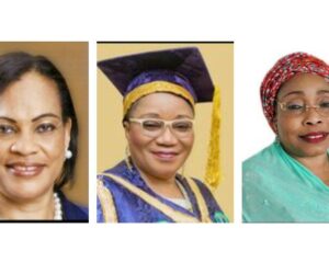 Daisy Danjuma, Tumaka, Salami Endorse ‘Leading In A Storm’ For Public, Private Sector Leaders