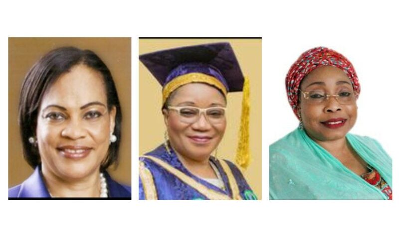Daisy Danjuma, Tumaka, Salami Endorse ‘Leading In A Storm’ For Public, Private Sector Leaders