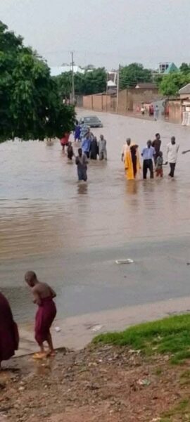 Adamawa communities submerged in fresh flood outbreak – Daily Trust
