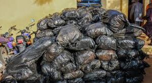 Police intercept 127 bags of Cannabis concealed in Yam tuber truck in Kwara