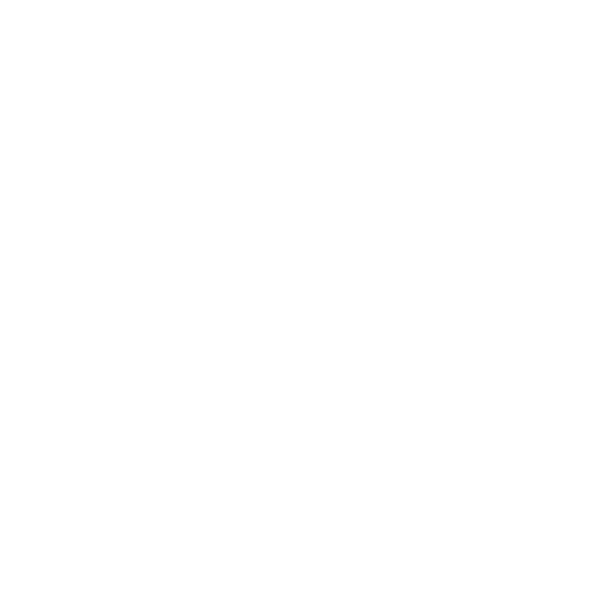 Pulse | Pulse Fiesta
