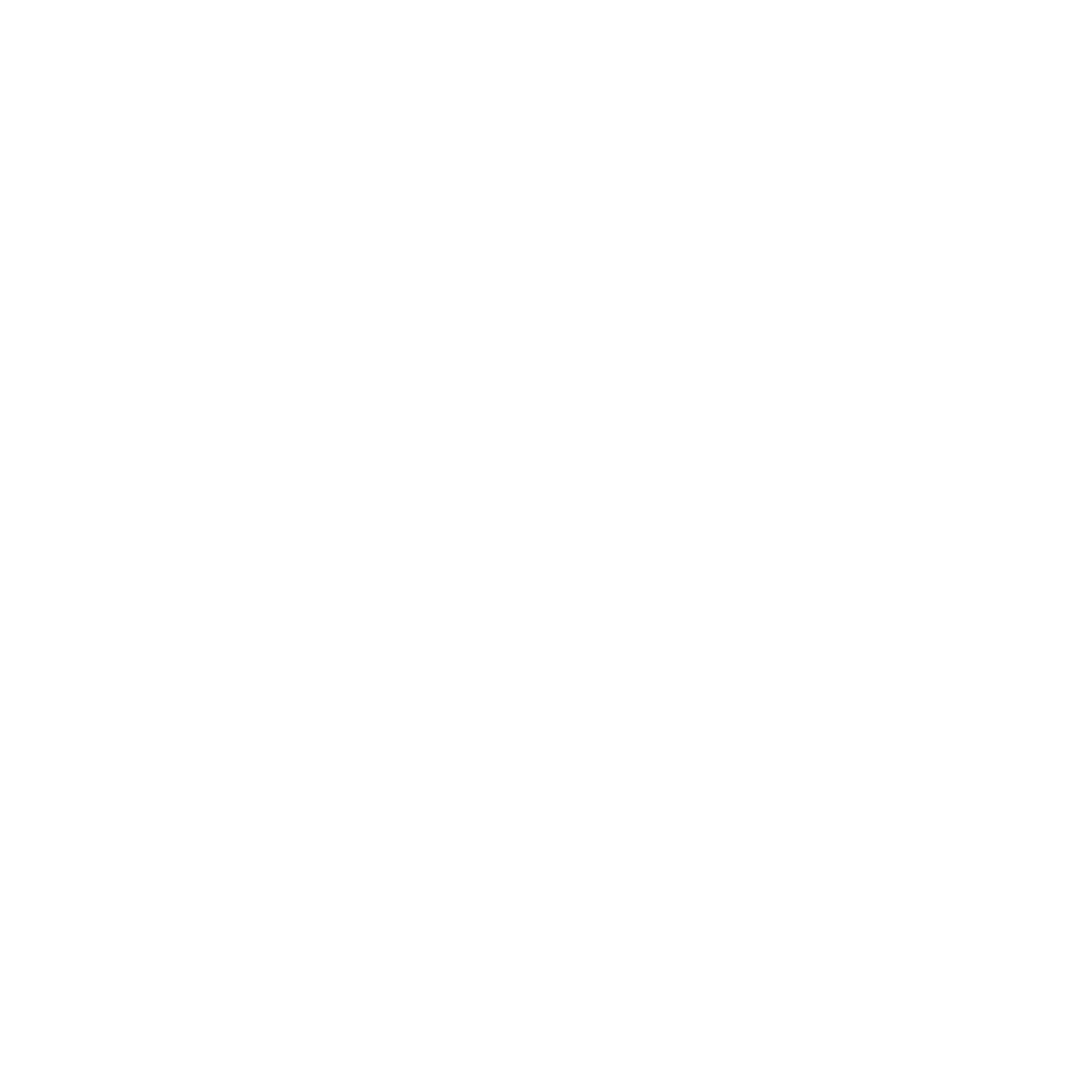Pulse | Pulse Fiesta
