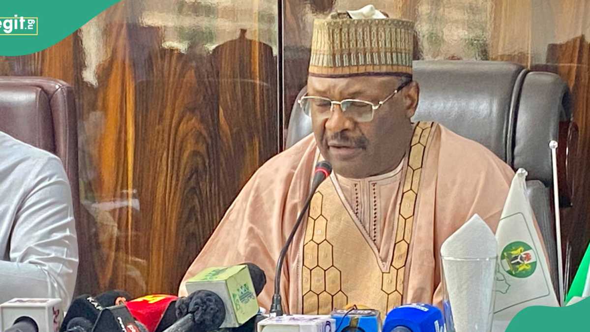 2027 Election: 14 Political Parties That May Emerge According to INEC, Full List Released
