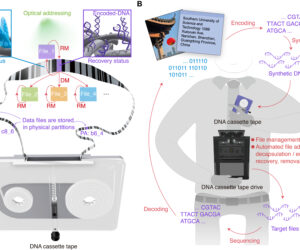 New research from China describes prototype DNA tape system capable of long term storage, but data writing speeds make it impractical at present