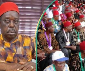 2025 Anambra Governorship: Ohaneze Ndigbo Announces Candidate They Are Backing
