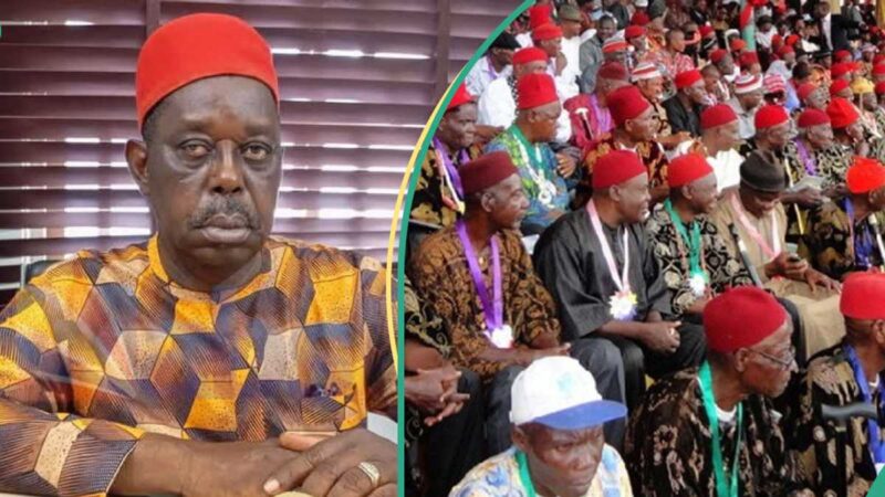 2025 Anambra Governorship: Ohaneze Ndigbo Announces Candidate They Are Backing