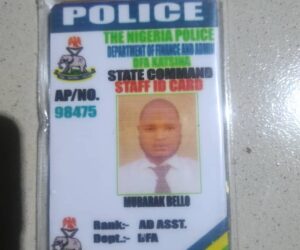 Man arrested with firearm and fake police ID in Katsina