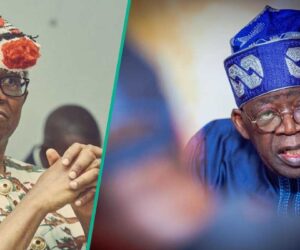 Prominent Influential Igbo Politician Declares Support for Tinubu, Slams Obidients