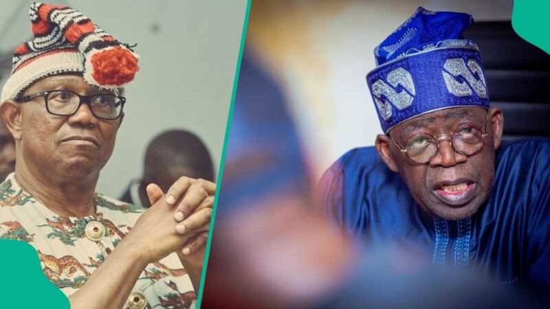 Prominent Influential Igbo Politician Declares Support for Tinubu, Slams Obidients