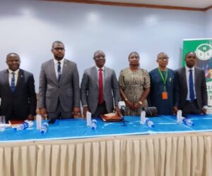 NES, Stakeholders Set To Boost Economic Growth, Stability