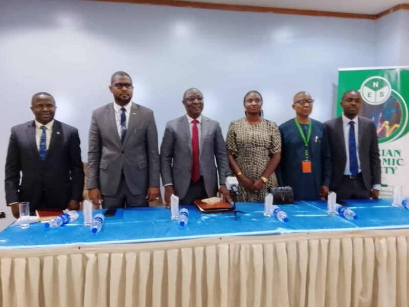 NES, Stakeholders Set To Boost Economic Growth, Stability