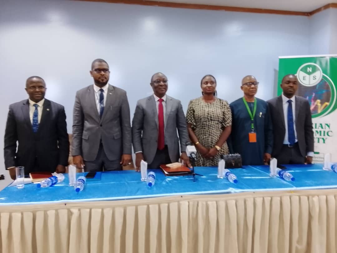 NES, Stakeholders Set To Boost Economic Growth, Stability