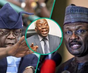 “You Don’t Have Such Powers”: Falana Speaks as Tinubu Allegedly Directs INEC Boss to Go On Leave