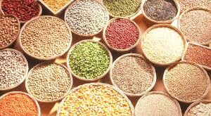 Food Prices Have been Crashed, says Agric Minister – Daily Trust