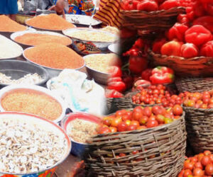 Foodstuff dealers, hoarders count losses as prices crash in Yobe
