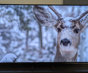 Samsung S85F review: a brilliant, affordable OLED TV with a lot of strengths, especially for gamers