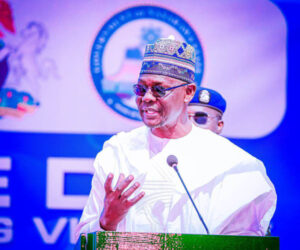 Governors should stop passing blame, we have enough money to tackle it – Nasarawa Gov – Daily Trust