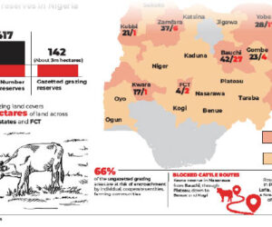 Cattle starve as 417 grazing reserves lie idle – Daily Trust