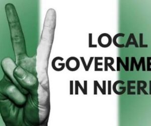 Demand Implementation Of LG Autonomy, Ex-lawmaker Tells Nigerians