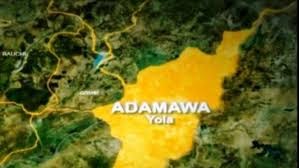 NSCDC arrests fraudster over N9m scam in Adamawa