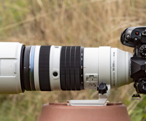 Forget full-frame – OM System’s latest telephoto zoom proves that Micro Four Thirds is a top choice for macro and wildlife photography
