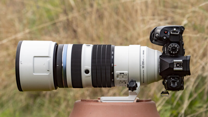 Forget full-frame – OM System’s latest telephoto zoom proves that Micro Four Thirds is a top choice for macro and wildlife photography