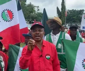 NLC Reveals Why Power Sector Is Crippled