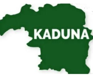 Rotary club renovates school library, provides 1,000 books in Kaduna