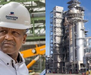 Dangote refinery sacks Nigerian workers after PENGASSAN membership
