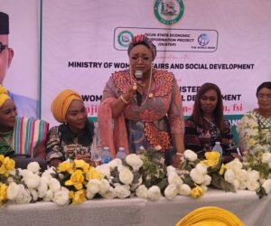 31% of Nigerian women suffer s3xual and physical violence – Minister