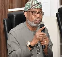 Ansaru: Court judgment victory against illegal mining – Alake