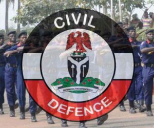 Father, son and 72-year-old arrested for def!ling minors in Gombe