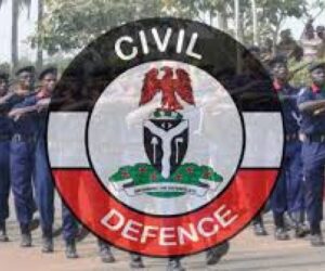 NSCDC nabs man in Adamawa for allegedly swindling victims of N9m