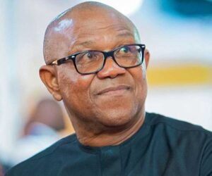 Obedient Movement in Oyo Rejects Akinyemi – Independent Newspaper Nigeria
