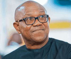 Georgia Honours Peter Obi | Naija News