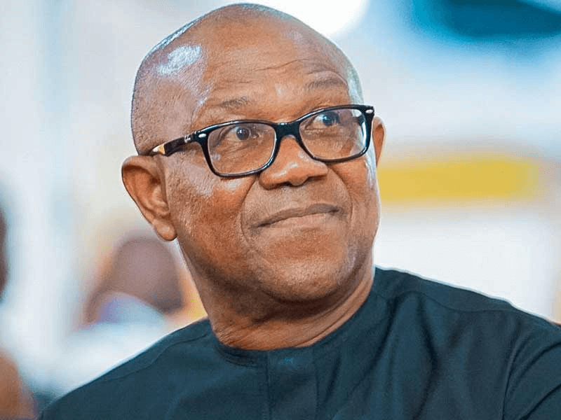Georgia Honours Peter Obi | Naija News
