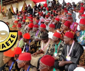 Ohaneze sets up committee to revive, sustain Igbo language