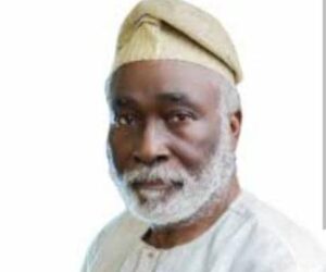 Prioritise Transformation Agenda, Stop Attacking Opposition, ADC Coalition Leader Tells APC – Independent Newspaper Nigeria