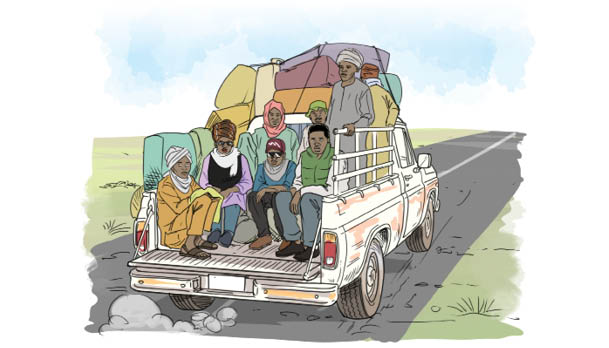 Greener pastures getting nearer – Daily Trust