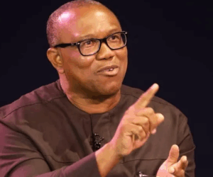 APC Will Have Tough Battle If Obi Gets ADC Ticket — Ugomuoh