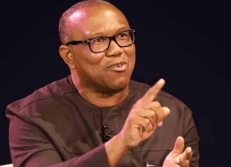 APC Will Have Tough Battle If Obi Gets ADC Ticket — Ugomuoh