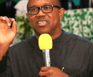 ‘Mockery of democracy’ – Peter Obi blasts Rivers LG poll