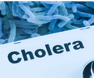 Global cholera deaths rose by 50% in one year