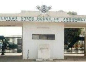 Plateau lawmaker calls on military to address insecurity in Dong community
