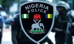 Student arrested for abandoning newborn in Nasarawa bush