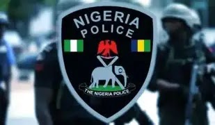 Student arrested for abandoning newborn in Nasarawa bush